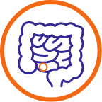 gut