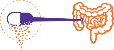 Tarpeyo pill with a line indicating where in human intestines it impacts