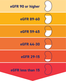 EGFR Chart showing high to low EGFR numbers