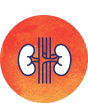 Kidney icon