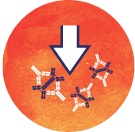 IgA1 reduction icon