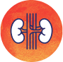 Kidney icon